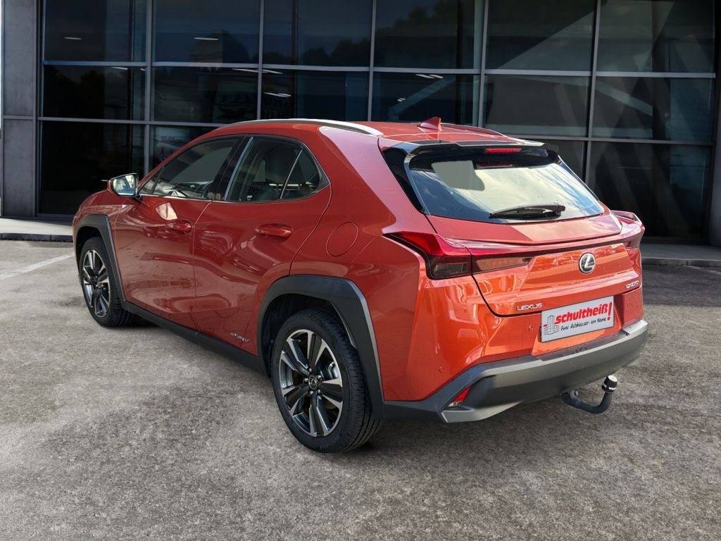 Fahrzeugabbildung Lexus UX 250h  (E-FOUR) Luxury Line