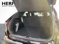 Ford Kuga - Vorschau Bild 6