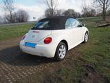 Volkswagen New Beetle Cabriolet 2,0 Harvest Moon-Beige - Volkswagen Beetle: New
