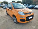 Fiat Panda 1.0 FireFly S&S Hybrid Easy - Fiat Panda EASY mit Hybrid-Antrieb (Benzin/Elektro)
