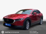 Mazda CX-30 2.0 M-Hybrid SELECTION Navi HuD Voll-LED - Mazda CX-30 in Dresden