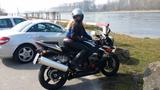 Suzuki GSXR 1000 - SUZUKI 2004 GSXR 1000
