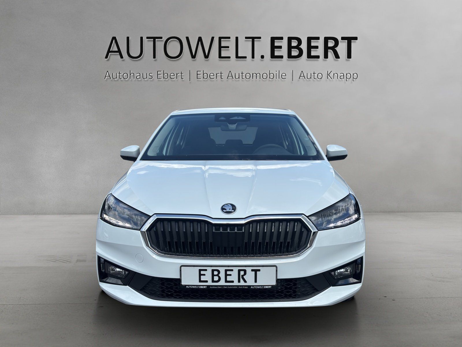 Fahrzeugabbildung SKODA Fabia Essence 1,0 TSI 70 kW