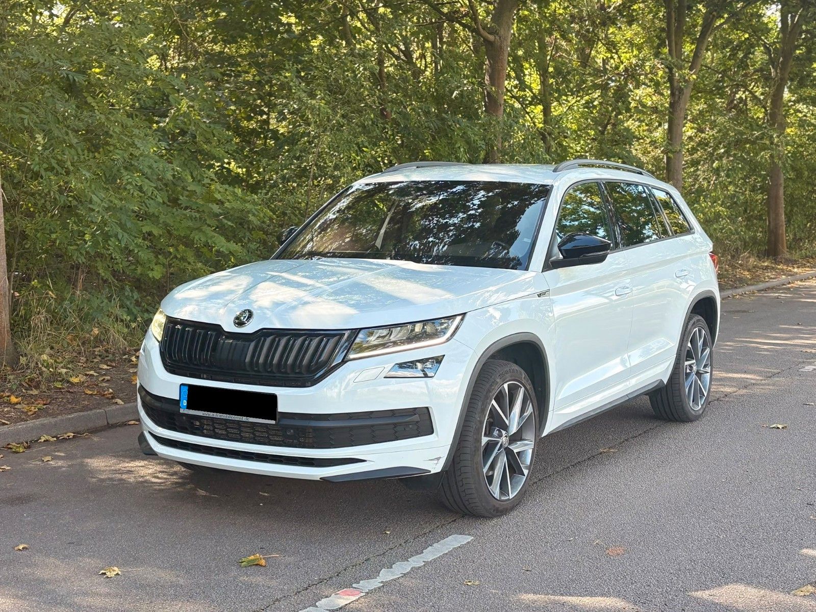 Skoda Skoda Kodiaq Sportline 4x4