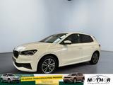 Skoda Fabia Tour 1.0 TSI DSG SmartLink Sitzheizung - Skoda Fabia: Tour