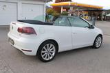 Volkswagen Golf Cabriolet 1,4 TSI DSG NAVI XENON PDC STANDH - mit Benzin-Antrieb: Teilleder, Cabrio, mit Klimaautomatik