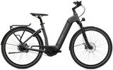 Flyer Gotour6 3.40 S Comf - E-Trekkingbike E-Bikes