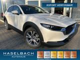Mazda CX-30 Exclusive 360° BOSE Lenkradheizg Freisprec - Mazda CX-30 Neuwagen
