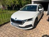 Skoda Oktavia - Skoda: Oktavia