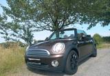 MINI Mini Cooper Cabrio Hot Chocolate Vollleder... - : Cabrio, Hot