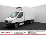 Mercedes-Benz Sprinter 316 Aut. *Carrier Pulsor 350 -20°C Tief - Angebote