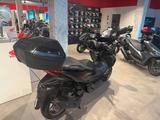 Honda Forza 125 2026 Special Edition *sofort verfügbar - HONDA MOTORRAD