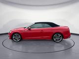 Audi S5 Cabriolet quattro Keyless Navi Kopfraumheizun - gebrauchte Audi Cabrios