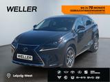 Lexus NX 300h E-FOUR Executive Line *AHK*Pano*ACC*Lede - Lexus Gebrauchtwagen in Leipzig