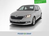 Skoda Fabia 1.0 TSI Cool Plus ParkPilot / Sitzheiz. / - gebrauchte Kleinwagen in Nürnberg