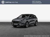 Ford Kuga 2.0 EcoBlue 4x4 Aut. ST-LINE X