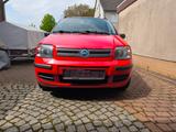 Fiat Panda - gebrauchte Fiat Panda aus dem Jahr 2006