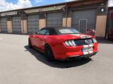 Ford Mustang 5.0 Ti-VCT V8 GT Auto GT, deu. Fahrzg. - Ford Mustang in Kassel