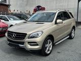 Mercedes-Benz ML 350 CDI BlueTec *AHK*RÜCKFAHRK*ELEKTRSITZ* - Mercedes-Benz ML-Klasse Gebrauchtwagen in Hamburg