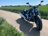 Harley-Davidson V-ROD Night-Rod Spezial 5HD VRSC - Angebote entsprechen deinen Suchkriterien