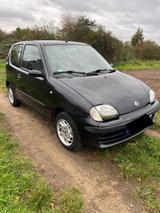 Fiat Seicento 1.1 8V Sporting Sporting - Fiat Seicento in Frankfurt (Main)