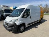 Fiat FIAT DUCATO 3,0 NGT CNG Kasten Hochdach - Offers
