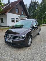 Volkswagen Caddy 1,4TSI 92kW BMT Maxi Trendline 7-Sitze... - Volkswagen Caddy: 1.9