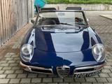 Alfa Romeo Spider 1750 Duetto, Rundheck, H-Nummer!!! - Alfa Romeo Spider Oldtimer