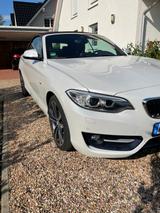 BMW 230i Steptronic Cabrio Sport Line - BMW 230: 230i