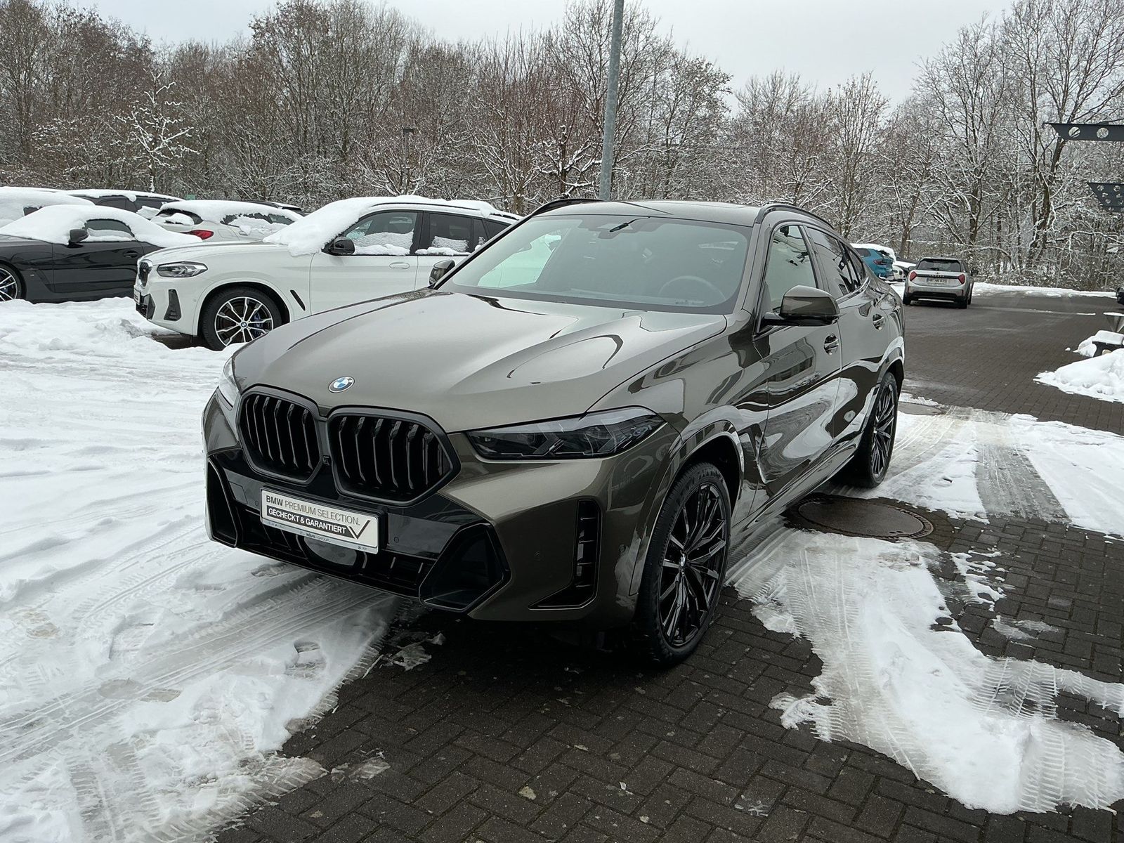 BMW X6 - Bild 10
