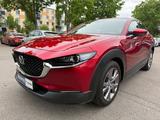 Mazda CX-30 Selection AWD/PREMIUM-DESIGN-P/360 KAM/LED - Mazda CX-30 in München