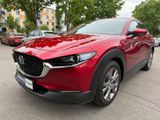 Mazda CX-30 Selection AWD/PREMIUM-DESIGN-P/360 KAM/LED