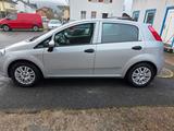Fiat Punto MYSTYLE - Fiat Punto: Kleinwagen