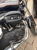 Harley-Davidson XL 883 R - Angebote