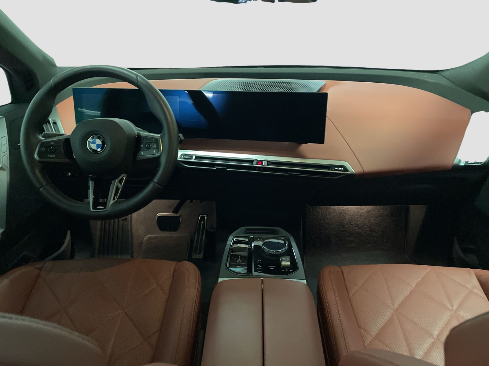 BMW iX - Bild 13