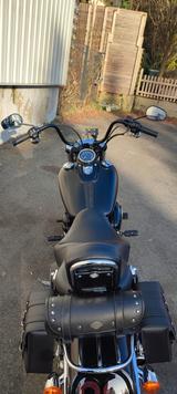 Harley-Davidson FXDF Dyna Fat Bob 103 - Offers matching your search criteria