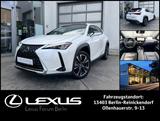 Lexus UX 250h Executive Line HYBRID * Leder * Head-Up- - gebrauchte Lexus Kleinwagen