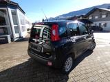 Fiat Panda 1.2 8V *Klima*Radio*Nebelsw*8xRäder* - Fiat Panda: Schwarz