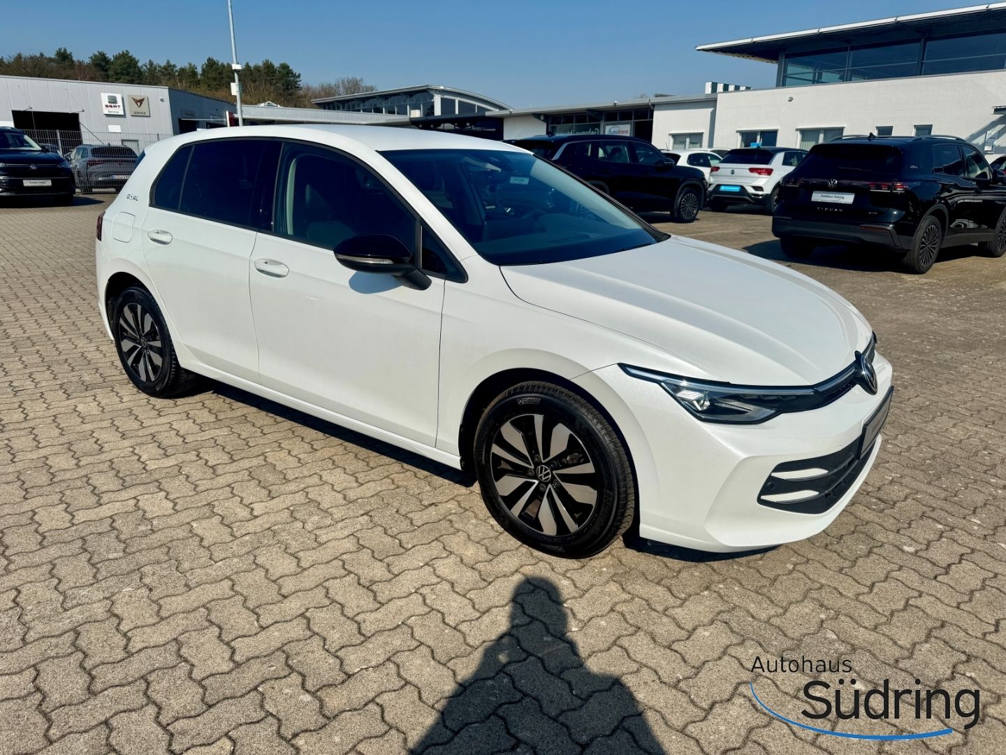 Golf VIII 2,0 TDI Goal DSG AHK Navi LED+ ACC