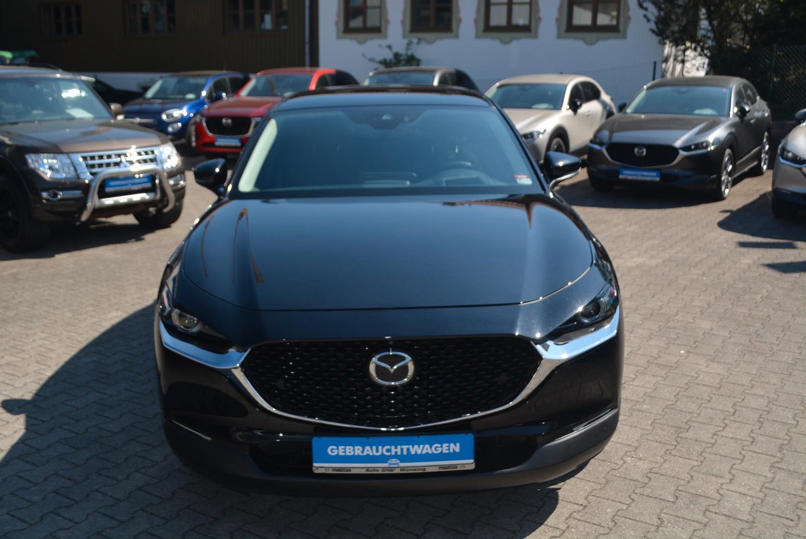 Mazda CX-30 Selection HUD BOSE 360° ACC NAVI