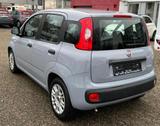 Fiat Panda Base 1.2 - gebrauchte Fiat Panda aus dem Jahr 2022