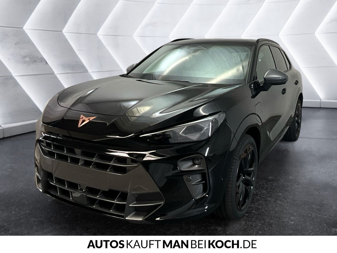 Cupra Terramar - Bild 4