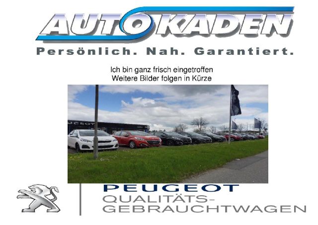 Peugeot Partner L1H1 110, Winterpaket