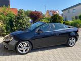 Volkswagen VW Golf 1,4 TSI Capriolet - Caprio gebraucht