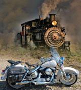 Harley-Davidson FLSTN Softail Special - HARLEY-DAVIDSON 1994