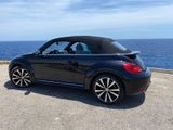 Volkswagen Beetle 2.0 TDI DSG auf Mallorca  - Volkswagen Beetle: TDI