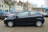 Fiat Punto 1.2 8V POP POP - Fiat Punto in Bochum