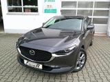 Mazda CX-30 SKYACTIV 150 AT Selection BOSE/360°/NAVI/H - Mazda CX-30 mit Hybrid-Antrieb: Selection