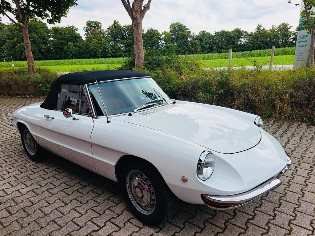 Alfa Romeo Spider