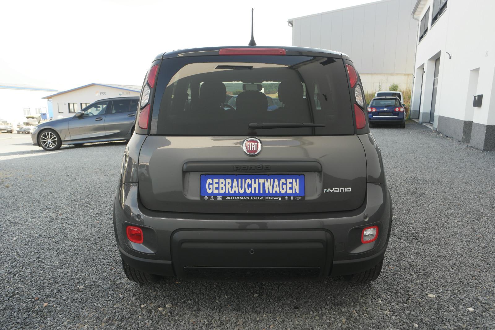Fiat Panda Sport 1.0 Mild-Hybrid 70 PS*Klima*PDC